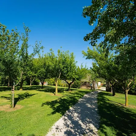 Zugarelli Alloggio per agriturismo Anguillara Sabazia