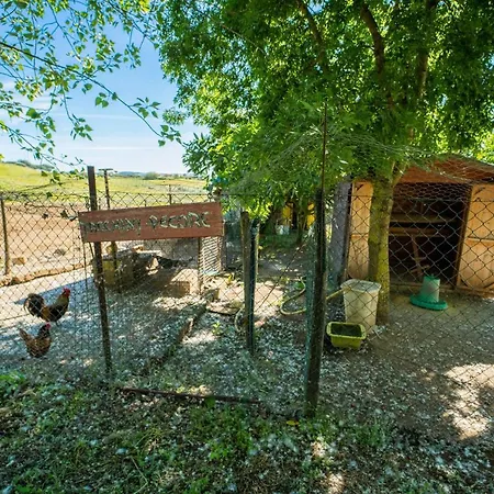 Alloggio per agriturismo Zugarelli Anguillara Sabazia